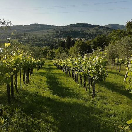Villa Storica Di Majano Bagno a Ripoli Zewnętrze zdjęcie
